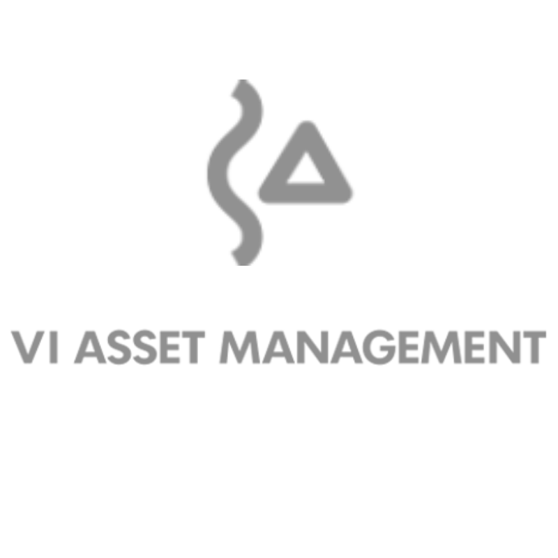 VI Asset Management