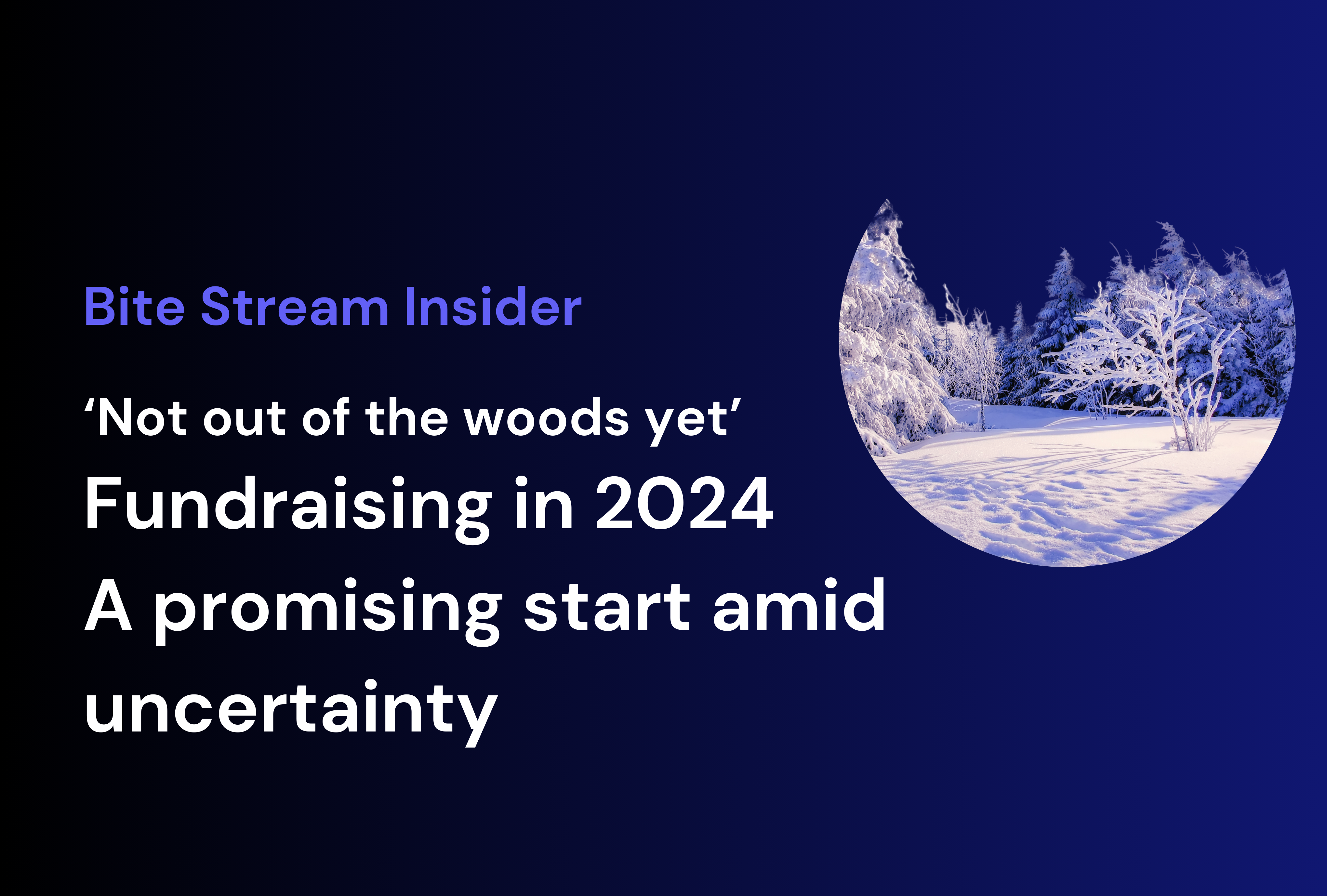 Bite Stream Insider - ‘Not out of the woods yet’ Fundraising in 2024 A promising start amid uncertainty